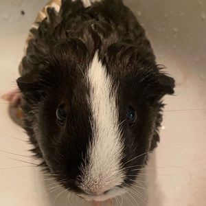 Meet your Posher, Marissa